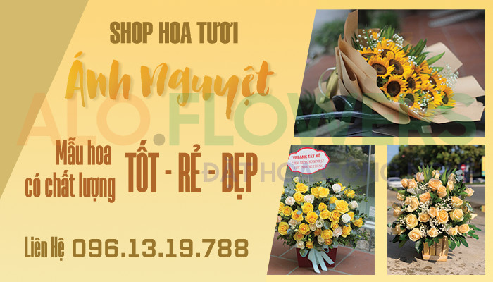Xổ Số Bạc Liêu Hôm Nay